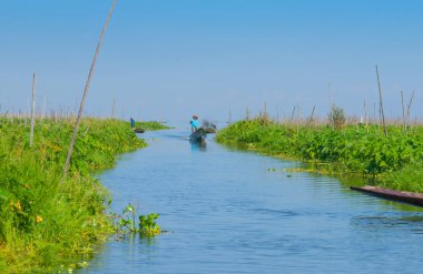 Inle Gölü Myanmar - 2 Kasım 2013; Inle Gölü yerlileri büyüyen sebze ekinleri ve gölün yüzeyinde yüzen büyük bahçelerdeki meyveler arasında tekneyle seyahat ederler..