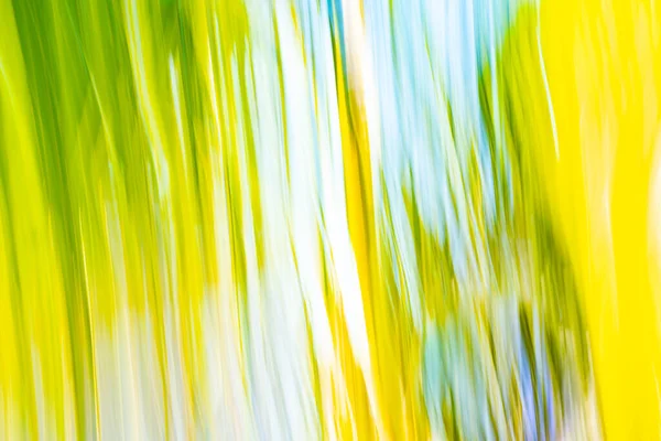 Tropiska Palmblad Bakgrund Med Rörelse Oskärpa Effekt — Stockfoto