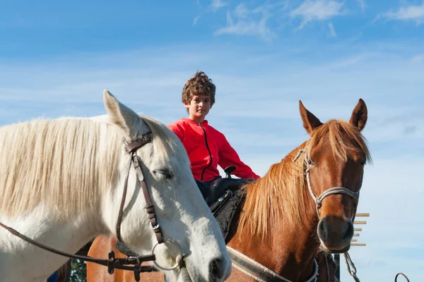 Niño Sentado Caballo Desde Punto Vista Bajo — Foto de Stock