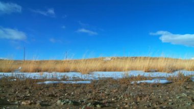 Beyaz yarı kamyon geçişleri karayolu üzerinde