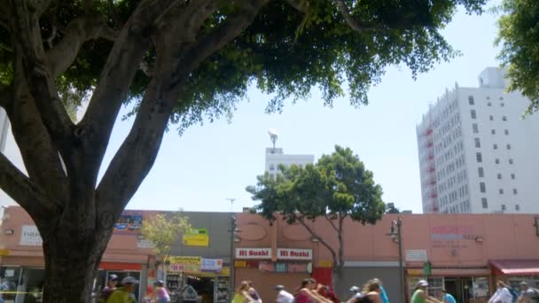 Ciclavia via Dlta, kantelen naar beneden — Stockvideo