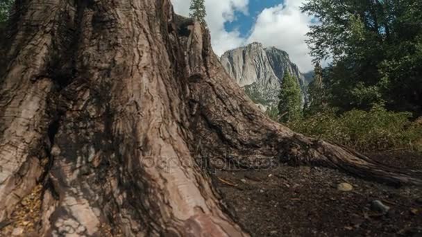 Yosemitský národní Park Reveal — Stock video