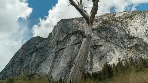 Montaña del árbol de Dead Time-lapse — Vídeo de stock