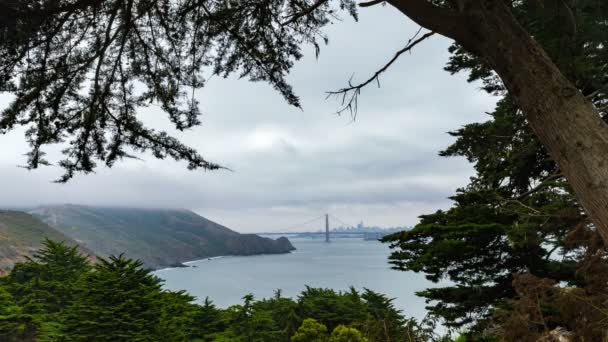 Залив Сан-Франциско — стоковое видео