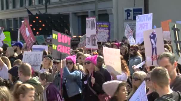 Multidão na Marcha Feminina — Vídeo de Stock
