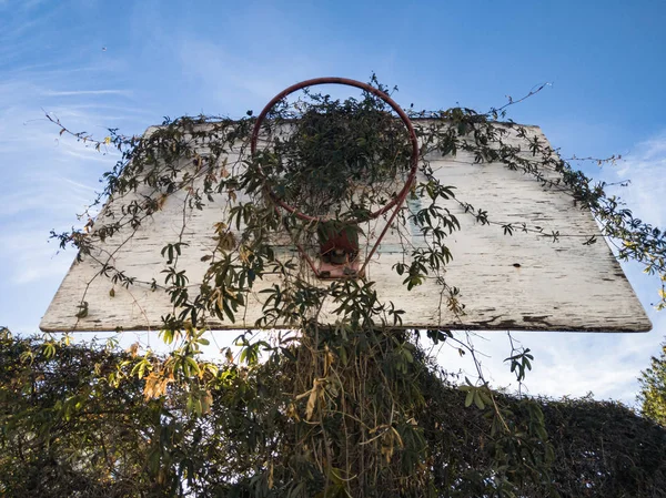 Terk Edilmiş Basketbol Rüyaları