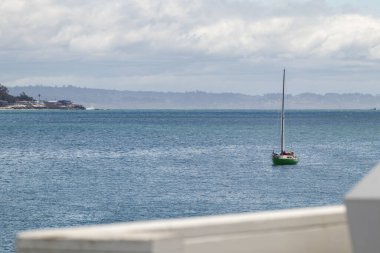 Harbor 'da bir yelkenli. Yeşil bir yelkenli limana varır, Santa Cruz, California 'daki bir iskeleye yaklaşır..