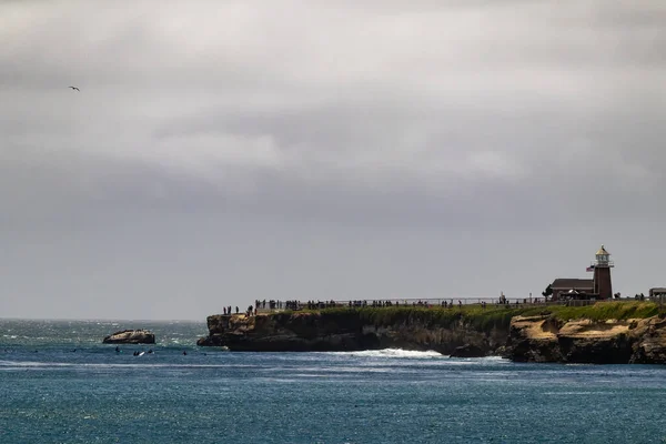 Deniz feneri noktası, Santa Cruz. Santa Cruz Sörf Müzesi 'nin uzak manzarasında sörfçüler aşağıdaki sularda sıraya girerler..