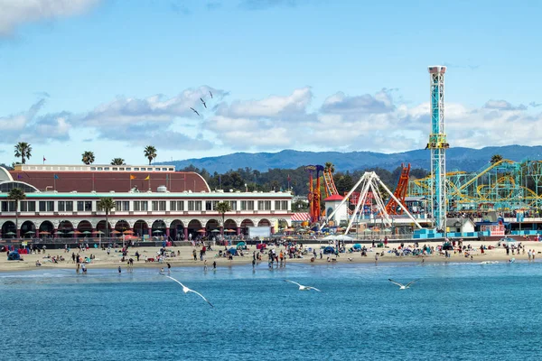 Santa Cruz martıları. 20 Nisan 2019 'da Santa Cruz, Kaliforniya' nın ünlü ve renkli sahil yolunda martı sürüleri uçar..