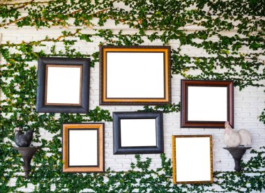 Resim çerçeveleri ile kopya alanı boş resim çerçevelerini sarmaşık duvar,