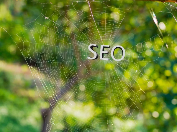 SEO 3d text on Spider web, Search engine optimization — Stock Photo, Image