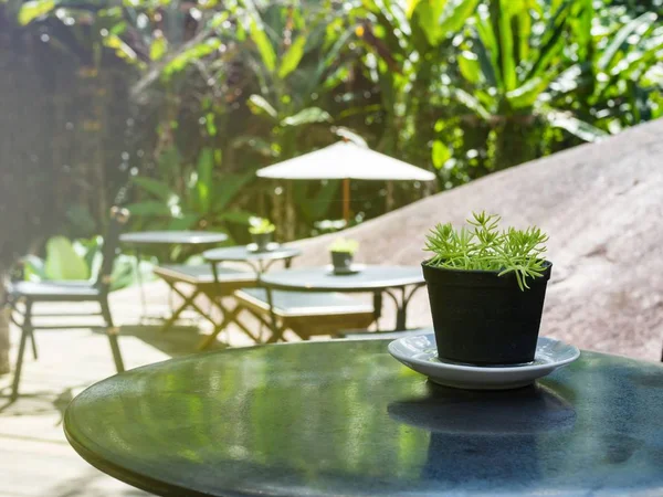 屋外の自然レストランやカフェのテーブルでフィルタ リング ビンテージ — ストック写真