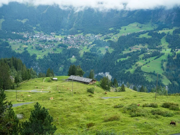 Granero Montaña Interlaken Suiza — Foto de Stock