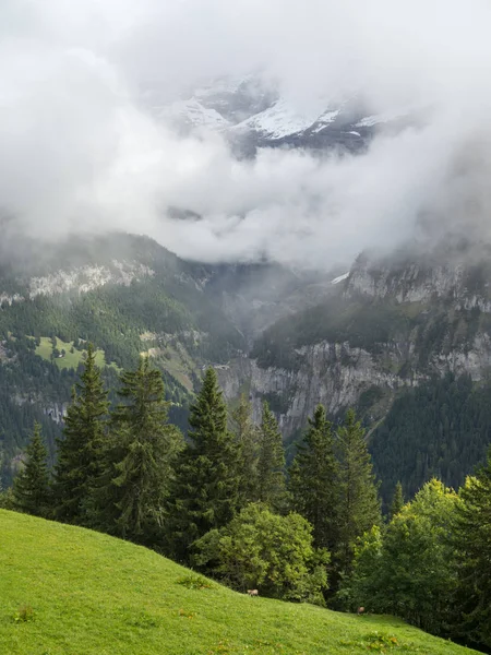 Montañas Interlaken Suiza — Foto de Stock