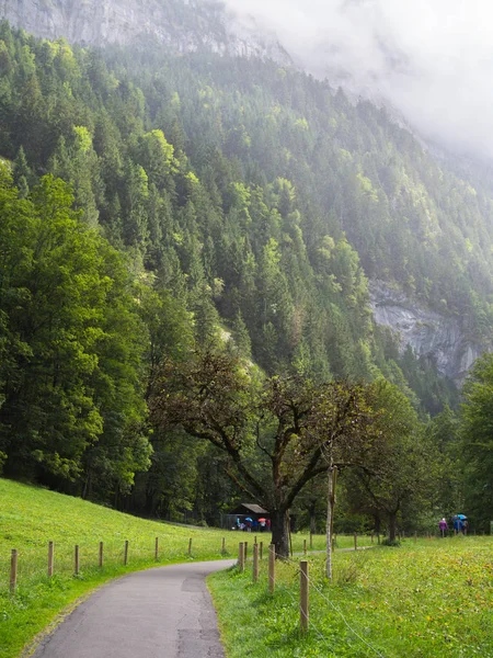 Camino Pie Lauterbrunnen Valley Waterfalls Suiza — Foto de Stock