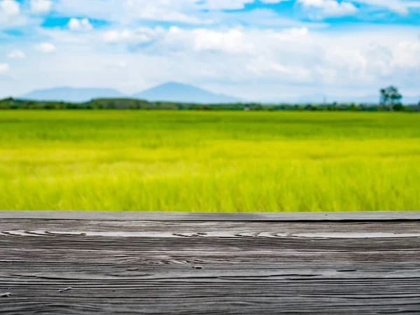 Wooden Table Paddy Rice Field View — Stock Photo, Image