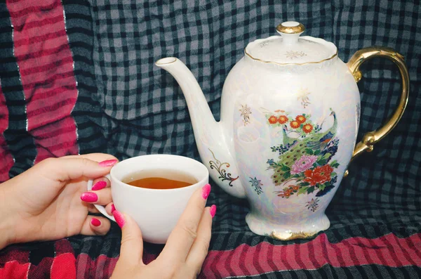 Tasse de thé dans les mains féminines — Photo
