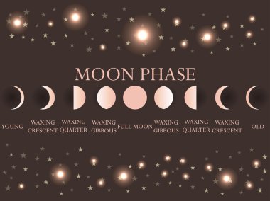 Ayın Evreleri. Tam tüm süreç new moon. Vektör çizim.