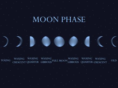 Ayın Evreleri. Tam tüm süreç new moon. Vektör çizim.