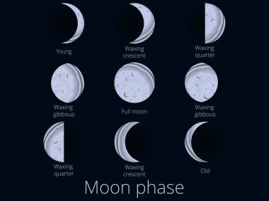 Ay evreleri. Yeni aydan dolunaya kadar tüm döngü. Vektör illüstrasyonu