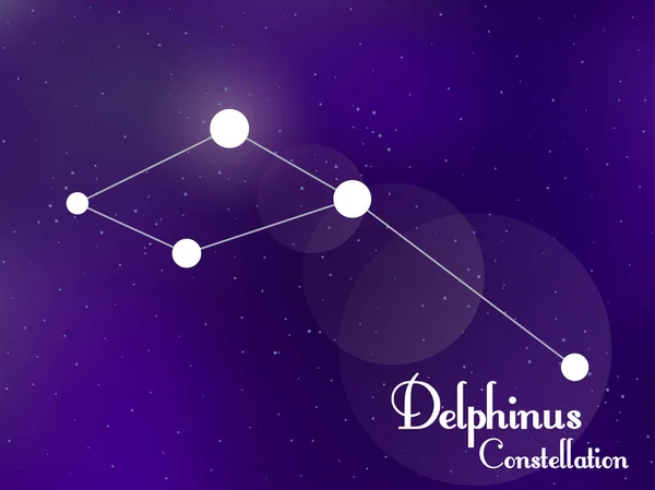 Delphinus Csillagkép Csillagos Éjszakai Égbolt Csillaghalmaz Galaxis Mélyűr Vektorillusztráció — Stock Vector