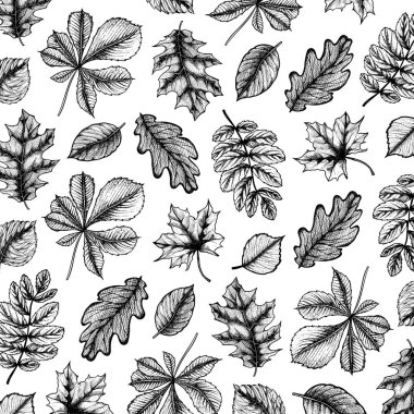 Yapraklarla el çizimi biçiminde desen illüstrasyonu. 