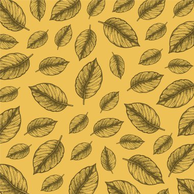 Yapraklarla el çizimi biçiminde desen illüstrasyonu. 