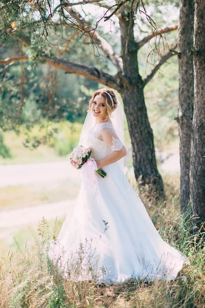 Encantadora novia en su día de boda — Foto de Stock