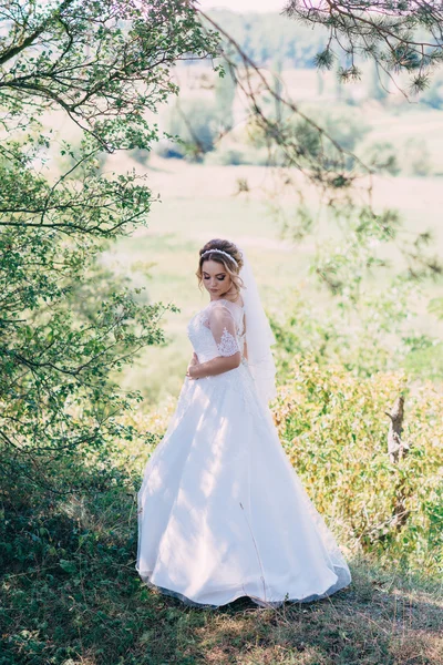 Onu düğün günü içinde büyüleyici gelin