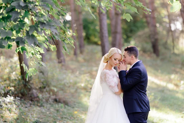 Lycklig brud och brudgum på deras bröllopsdag — Stockfoto