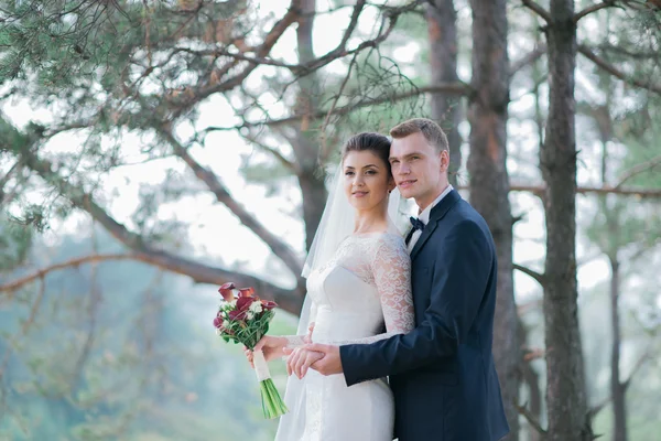 Noiva feliz e noivo em seu dia do casamento — Fotografia de Stock