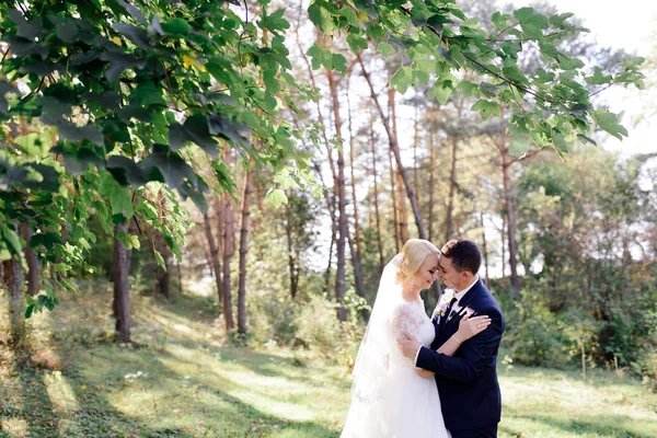 Sposa felice e sposo il giorno del loro matrimonio — Foto Stock