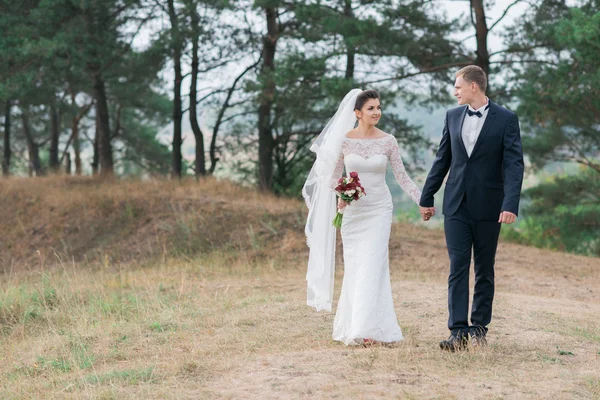 Feliz novia y novio en el día de su boda — Foto de Stock