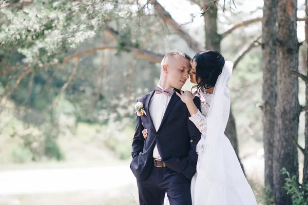 Lycklig brud och brudgum på deras bröllopsdag — Stockfoto