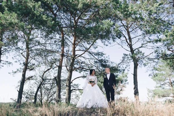 Feliz novia y novio en el día de su boda — Foto de Stock