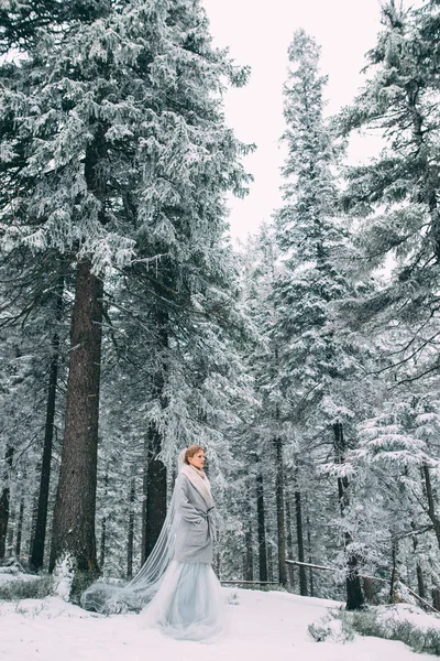 De Jong mooi meisje op haar minnaar in het midden van de bergen wacht bedekt met sneeuw — Stockfoto