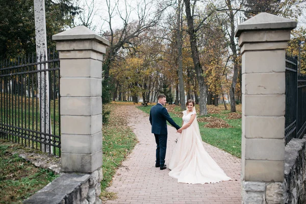 O noivo e a noiva juntos. Casamento casal. — Fotografia de Stock