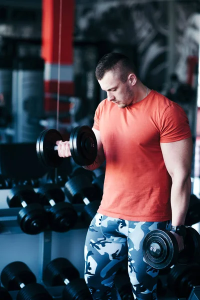 Muscular man training with black dumbbell in the gym