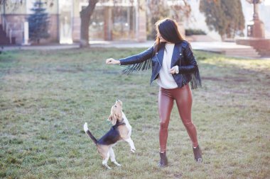 Şirin esmer kız aktif olarak en sevdiği sevimli köpeğiyle vakit geçiriyor. Kız sokak köpeğini eğitir, av köpeği yetiştirir.