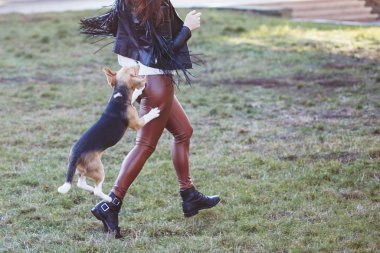 Köpek kızı ısırmaya hazırlanıyor.