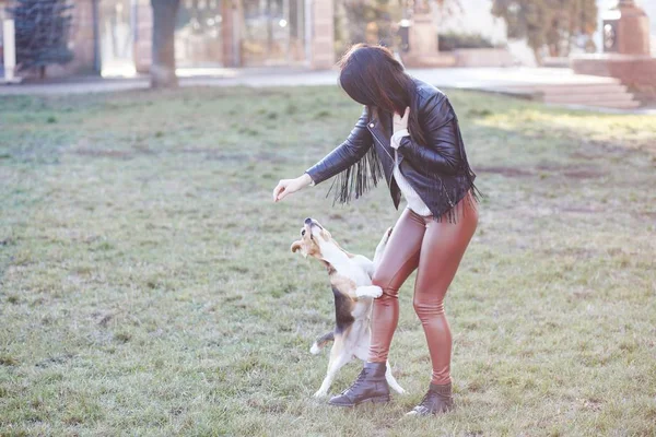 Jolie fille brune passe activement du temps avec son chien mignon préféré. Fille trains sur le chien de rue, beagle race — Photo