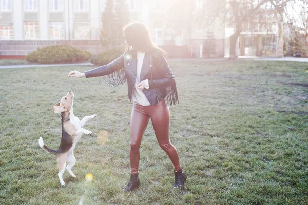 Jolie fille brune passe activement du temps avec son chien mignon préféré. Fille trains sur le chien de rue, beagle race — Photo