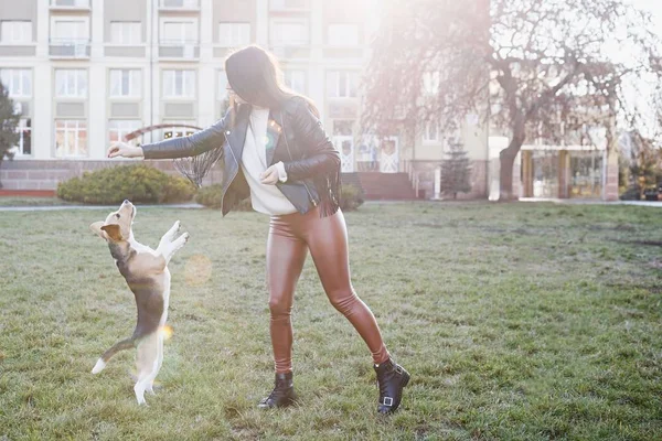 Aranyos barna lány aktívan időt tölt a kedvenc aranyos kutya. Lány vonatok az utcán kutya, fajta beagle — Stock Fotó