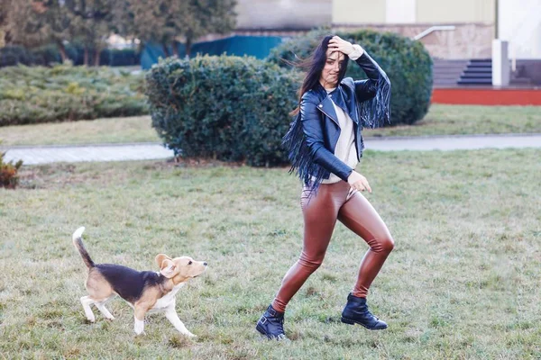 Jolie fille brune passe activement du temps avec son chien mignon préféré. Fille trains sur le chien de rue, beagle race — Photo