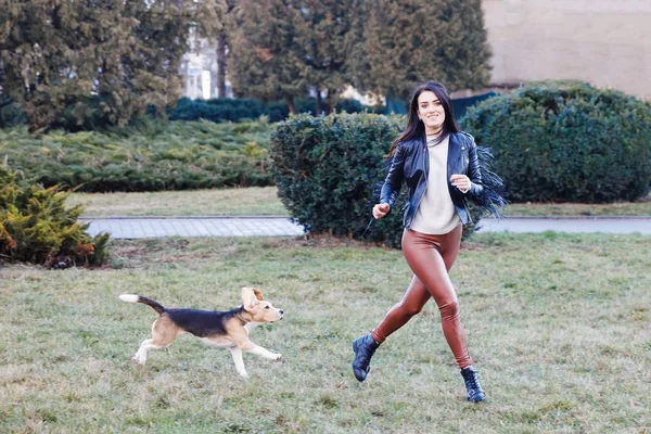 Jolie fille brune passe activement du temps avec son chien mignon préféré. Fille trains sur le chien de rue, beagle race — Photo
