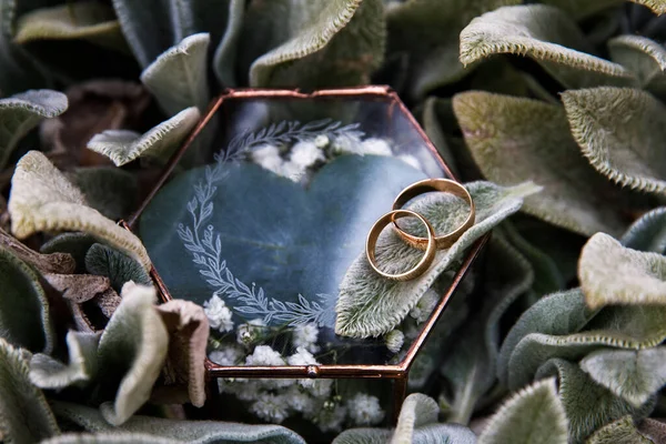 Dois Anéis Casamento Noiva Noivo Estão Uma Caixa Vidro — Fotografia de Stock