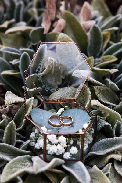 Dois Anéis Casamento Noiva Noivo Estão Uma Caixa Vidro — Fotografia de Stock