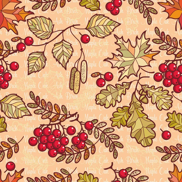 Seamless pattern. Deciduous. Autumn leaf ornament. Forrest leafy background. — Stock Vector