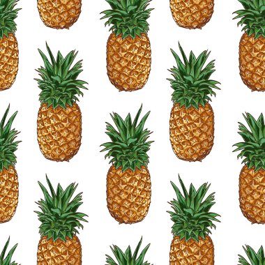 Sorunsuz Vecor ananas desen