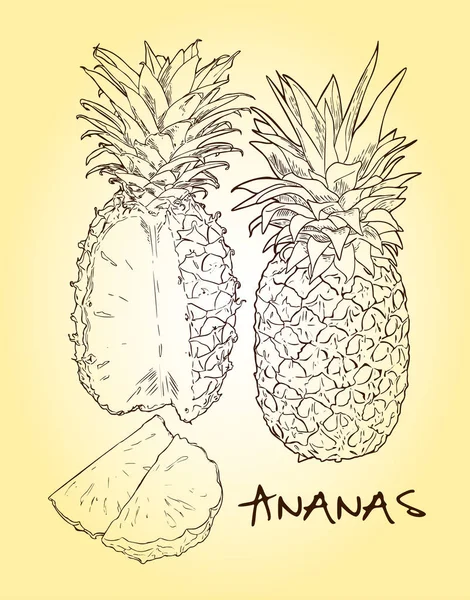 Векторный ананасовый набор — стоковый вектор